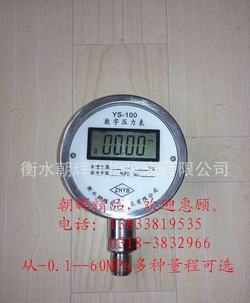 “貴陽數(shù)字壓力表期間核查記錄范本“/