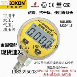 “合肥壓力表上有兩圈數字表示什么“/