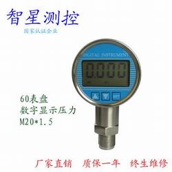 “上海Meiroo數顯壓力表“/