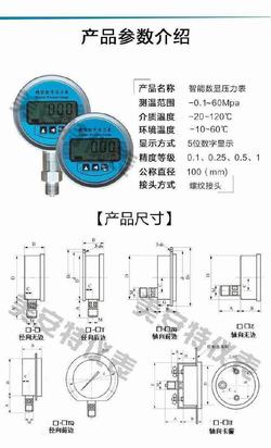 “大連斯貝克數(shù)字壓力表“/