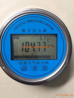 “綿陽松下DP100數(shù)顯壓力表“/
