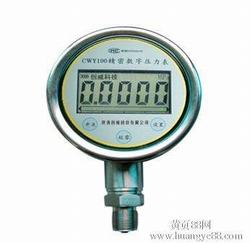 “株洲數字壓力表檢測對象“/